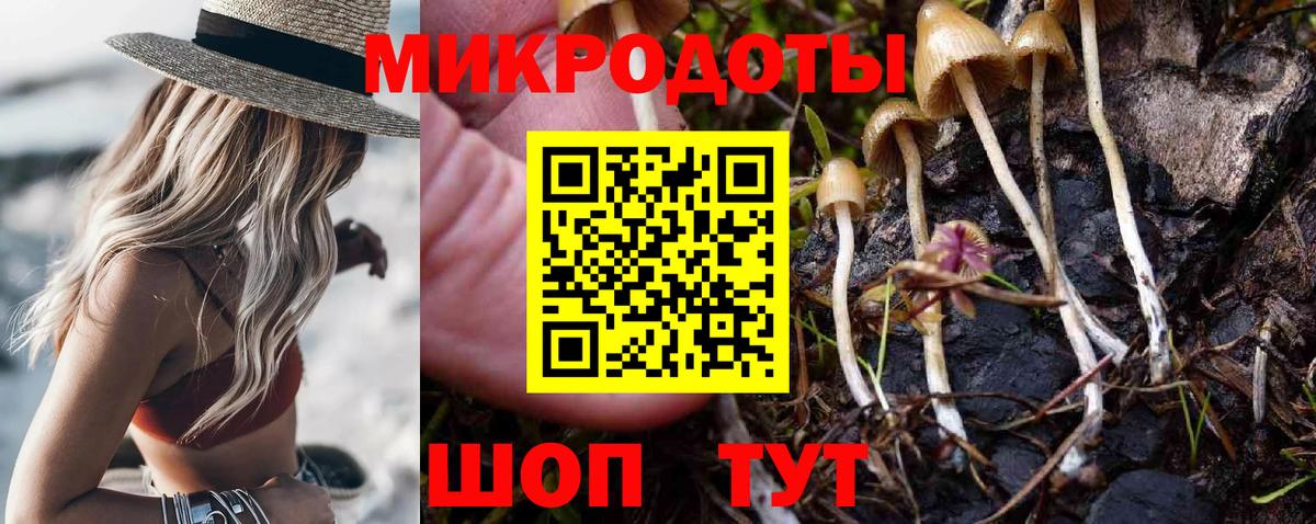 Псилоцибиновые грибы Magic Shrooms Черемхово