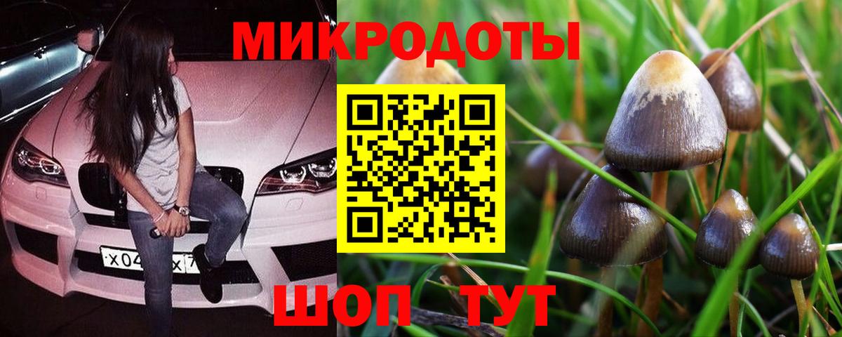 Галлюциногенные грибы мицелий  Вход с VPN  Черемхово 